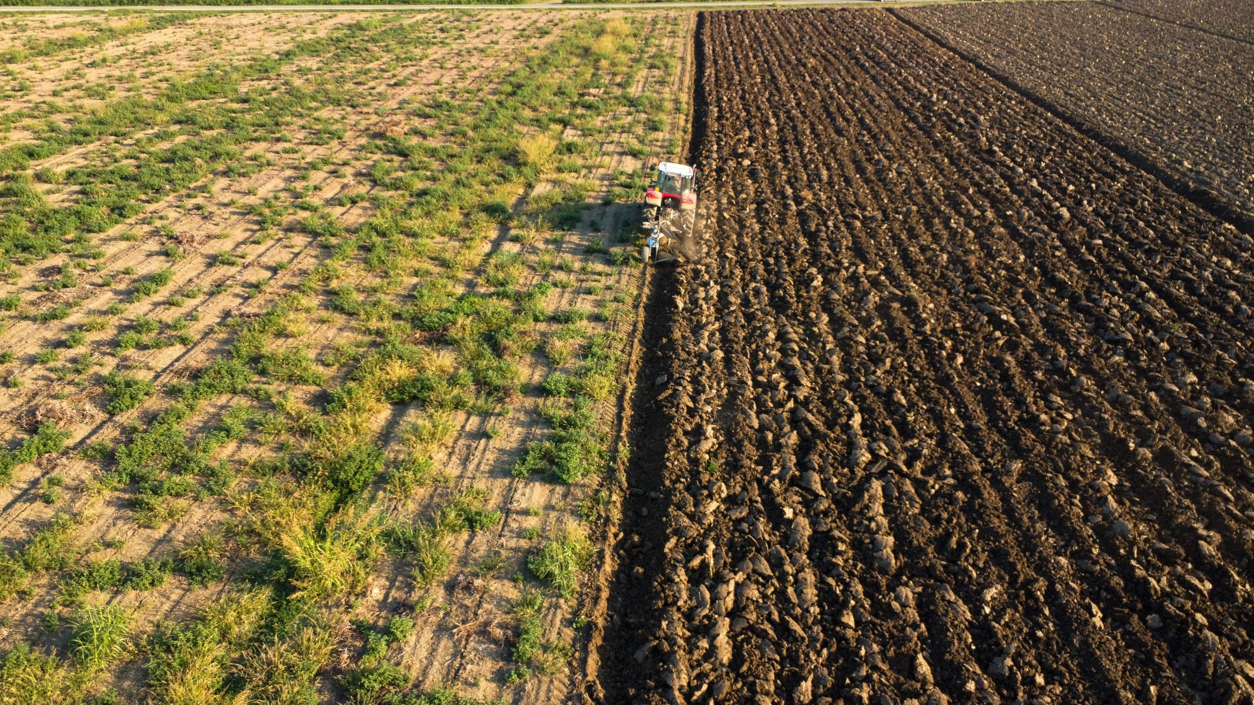 Sector Agrario en Perú se reactiva mediante el financiamiento FAE-AGRO